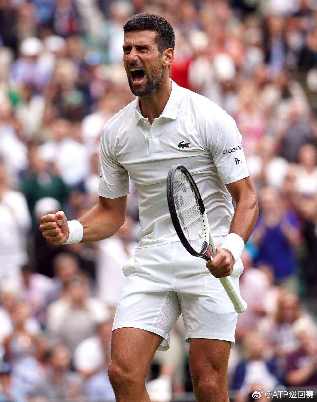 在回归国家 在回归国家